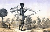 'The porters trudge from sunrise to 10 or 11 a.m., and sometimes, though rarely, they will travel twice a day, resting only during the hours of heat. They work with a will, carrying uncomplainingly huge tusks, some so heavy that they must be lashed to a pole between two men. Their shoulders are often raw with the weight, their feet are sore, and they walk half or wholly naked to save their cloth for displays at home.<br/><br/> 

They ignore tent or covering, and sleep on the ground; their only supplies are their country’s produce. . . . Those who must consult comfort carry, besides their loads and arms, a hide for bedding, an earthen cooking pot, a stool, a kilindo or bark-box containing cloth and beads, and perhaps a small gourd full of ghee. They sometimes suffer severely from exposure to a climate which forbids long and hard work upon short and hard fare.'