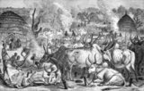 'The accompanying illustration is designed to exhibit something of the daily routine of the Dinka. It represents one of those murahs or cattle-parks, of which I have seen hundreds. It depicts the scene at about five o’clock in the afternoon.<br/><br/>

In the foreground there are specimens of the cattle of the country. The men in charge are busied collecting up into heaps the dung that has been exposed during the day to be dried in the sun. Clouds of reeking vapour fill the murah throughout the night and drive away the pestiferous insects. The herds have just been driven to their quarters, and each animal is fastened by a leather collar to its own wooden peg. Towards the left, on a pile of ashes, sit the owners of this section of the murah.<br/><br/>

The ashes which are produced in the course of the year raise the level of the entire estate. Semi-circular huts erected on the hillocks afford the owners temporary accommodation when they quit their homes some miles away and come to feast their eyes upon the goodly spectacle of their wealth.'