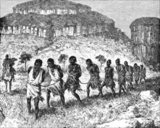 Black slaves were imported into the Muslim world from Africa by a number of routes northward across the Sahara desert, and by sea into Arabia and the Persian Gulf. Estimates of the number involved vary greatly but it seems that there may easily have been 10 million, perhaps even twice that number.<br/><br/>

Two-thirds of African slaves were female. The males were considered to be troublesome. An uprising of slaves from West Africa, the Zanj, who had been imported into the Tigris-Euphrates delta to reclaim salt marshland through their backbreaking labour, lasted from 869 until 883.<br/><br/>

The mortality rate was very high because of the harsh conditions, but the trade was so lucrative that merchants were not deterred by the numbers who died. Harrowing eye witness accounts tell of the vast scale and miserable conditions of the slave trade in Africa. In the 1570s many thousands of black Africans were seen for sale in Cairo on market days. In 1796 a caravan was seen by a British traveller leaving Darfur with 5,000 slaves. Black eunuchs became favoured for the royal harems. Even after Britain outlawed the slave trade in 1807, a further 2 million Africans were enslaved by Muslim traders.<br/><br/>

(Barnabas Fund, 2007).